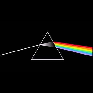 Meet your Posher, Zach